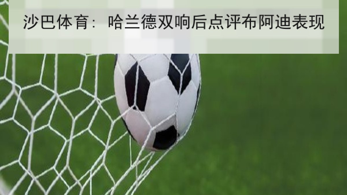 沙巴体育: 哈兰德双响后点评布阿迪表现