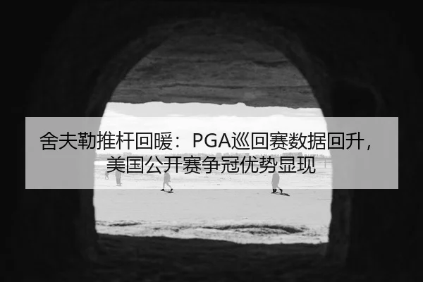 she-fu-lei-tui-gan-hui-nuan-xun-hui-sai-shu-ju-hui-sheng-mei-guo-gong-kai-sai-zheng-guan-you-shi-xian-xian-2-431.jpg