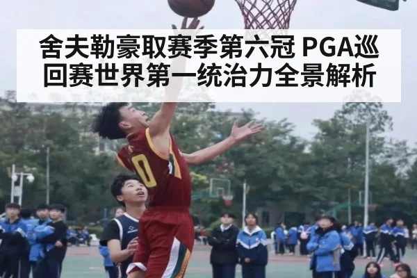 舍夫勒豪取赛季第六冠 PGA巡回赛世界第一统治力全景解析